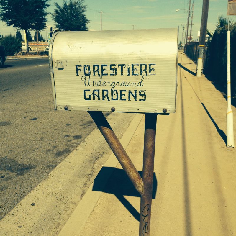 CHL #916 Forestiere Underground Gardens Mail Box