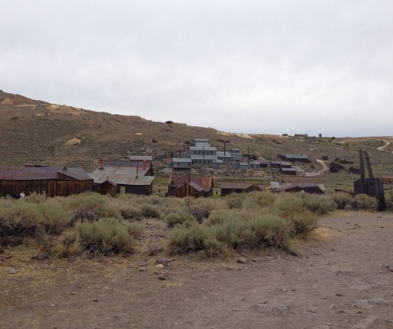 CHL #34 Bodie
