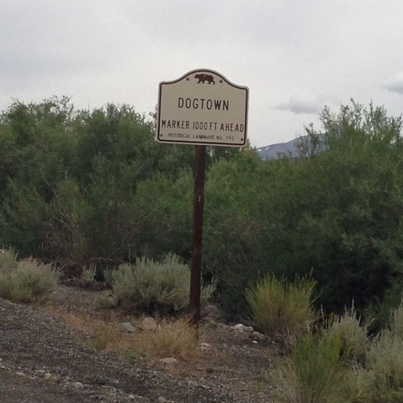 CHL #792 Dog Town Street Sign