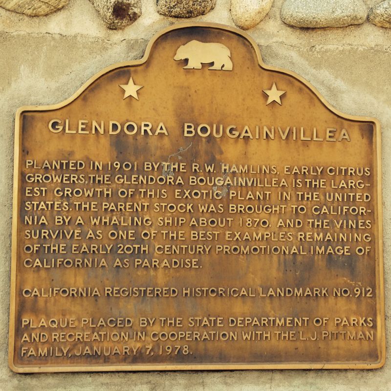CHL #912 Glendora Bougainvillea State Plaque