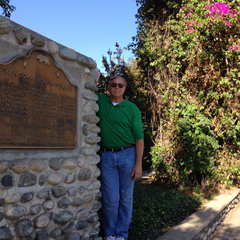 CHL #912 Glendora Bougainvillea Marker