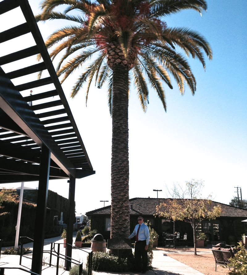 CHL #957 - Wente Brothers Winery
