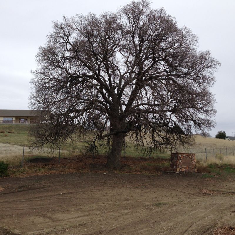 CHL #643 - Tehachapi Old Town