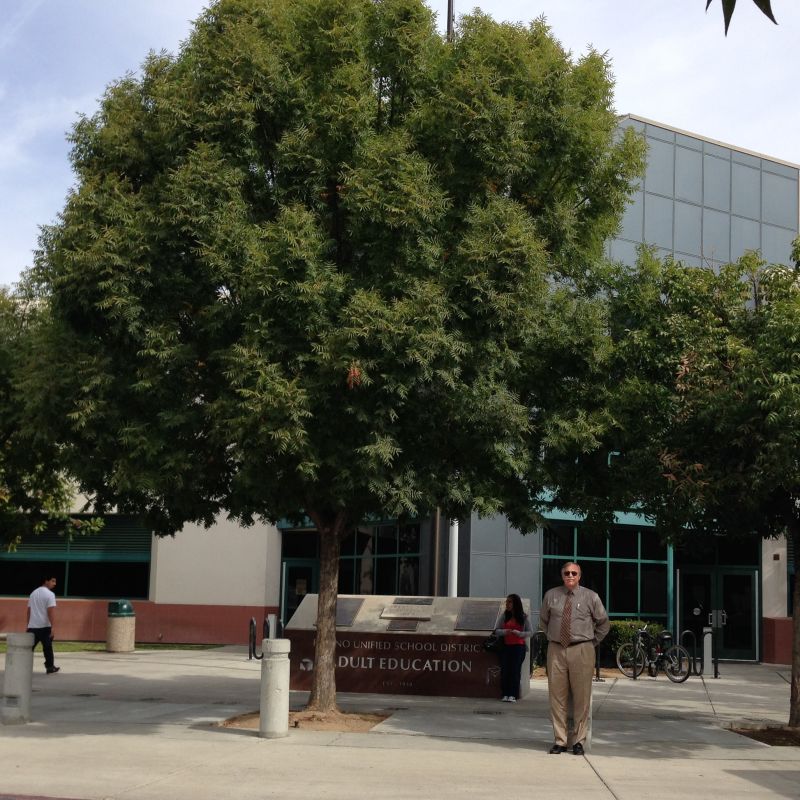 CHL #803 - First Junior College in California