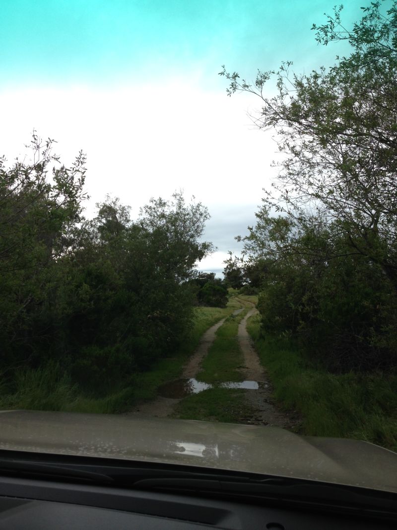 The road to CHL 616 Las Flores Asistencia