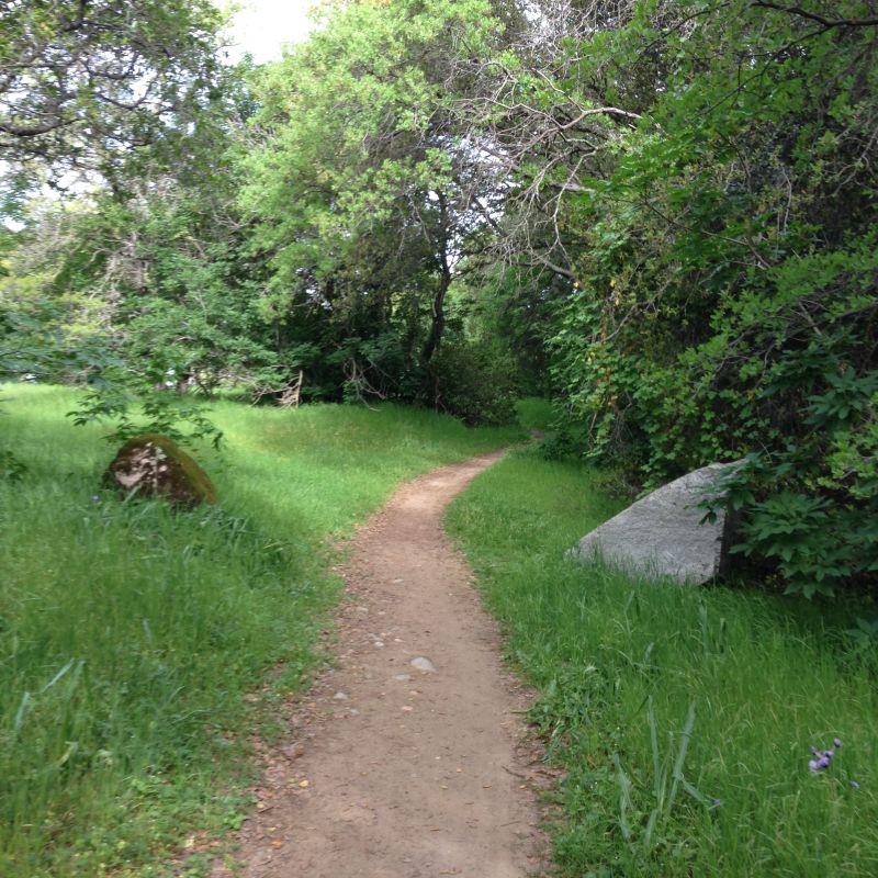 Landmark #585 Pioneer Express Trail
