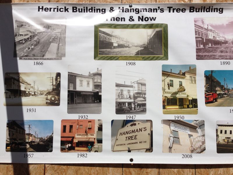 CHL No. 141 Hangman's Tree Display