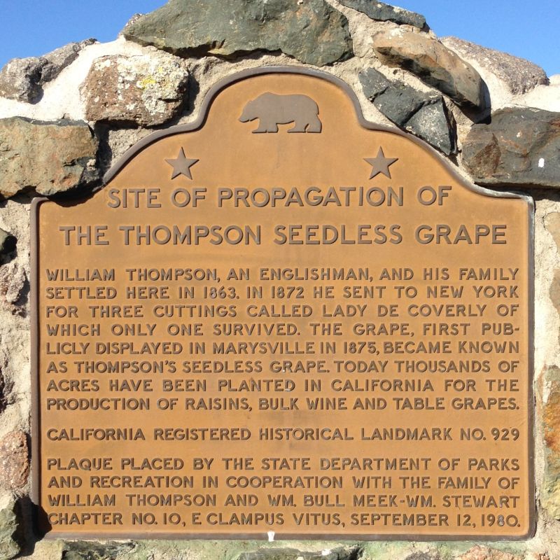 CHL No. 929 Thompson Seedless Grape Site State Plaque