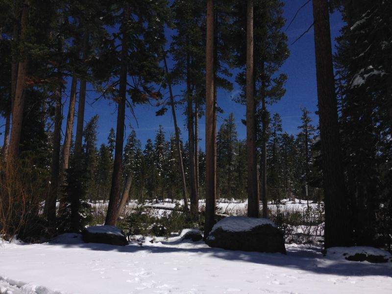 No. 1048 SITE OF ECHO SUMMIT