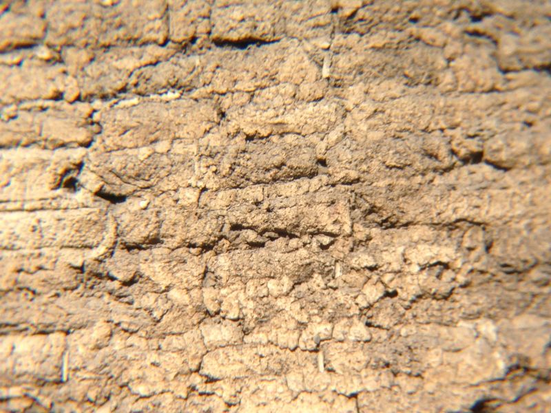 NO. 898 ROBERTO-SUÑOL ADOBE - Adobe Wall