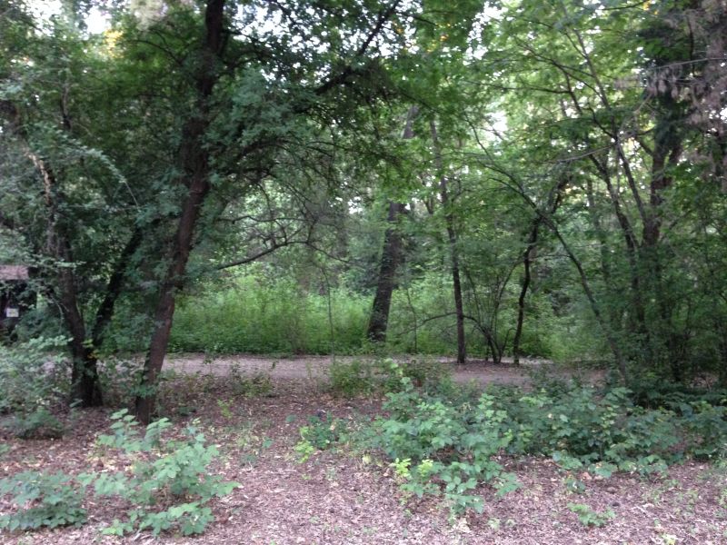 NO. 840-2 CHICO FORESTRY STATION AND NURSERY