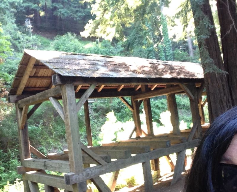 NO. 207 FIRST SAWMILL IN MARIN COUNTY - Reed's Saw Mill