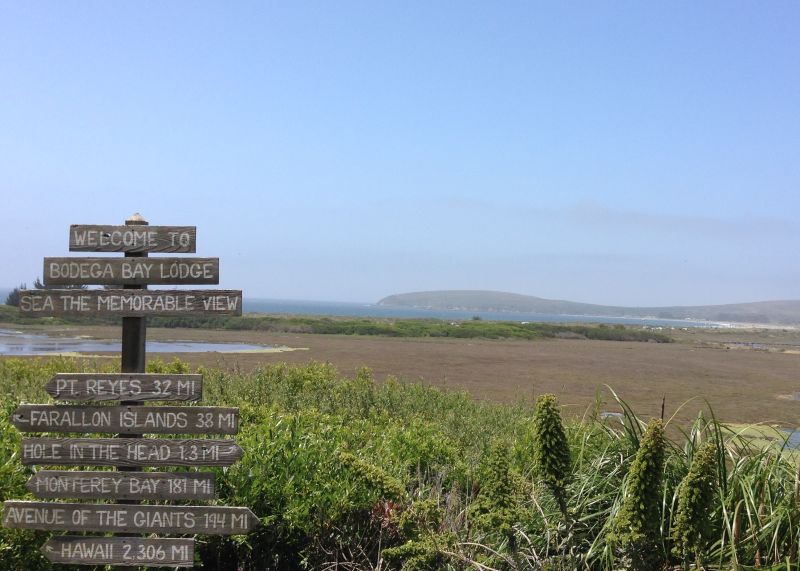 NO. 833 BODEGA BAY AND HARBOR