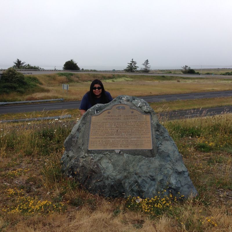 NO. 882 HUMBOLDT HARBOR HISTORICAL DISTRICT - Marker
