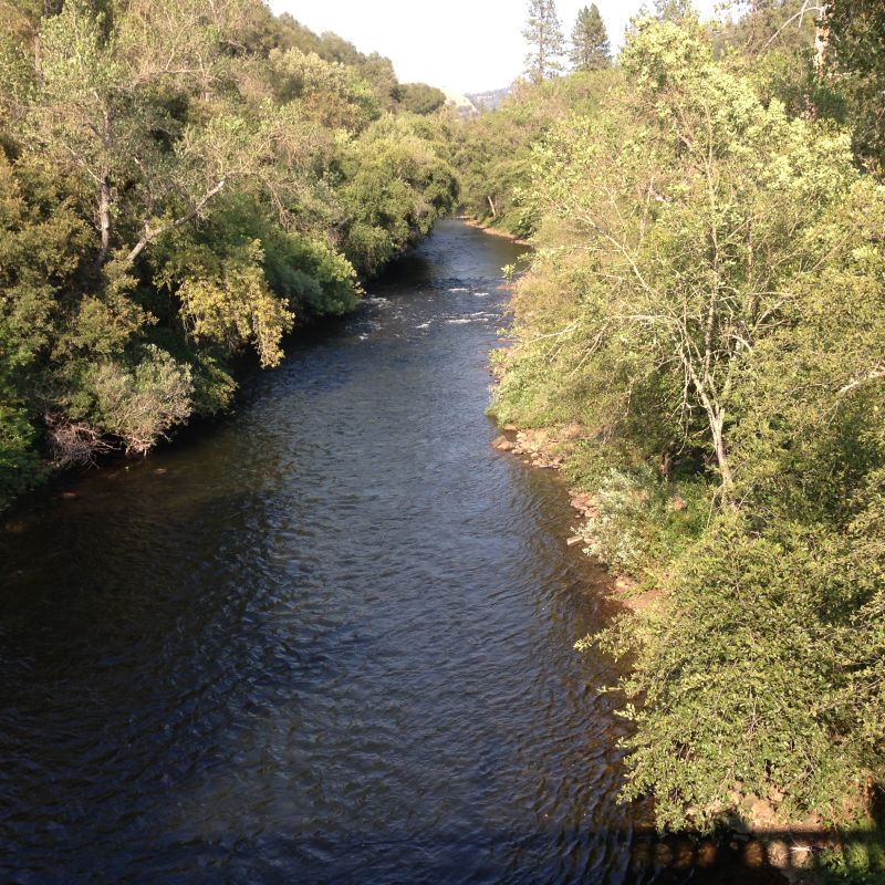 No. 41 BIG BAR - The Mokelumne River