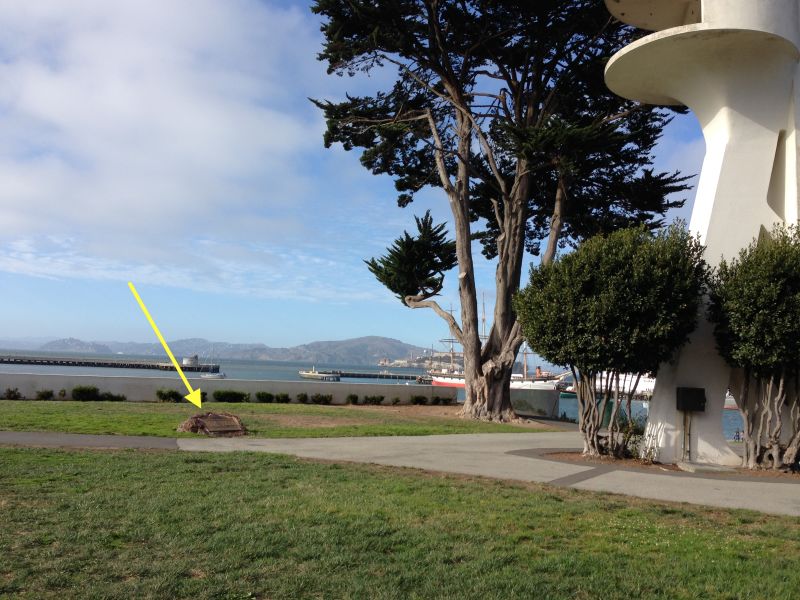 ENTRANCE OF THE SAN CARLOS INTO SAN FRANCISCO BAY - Aquadic Park