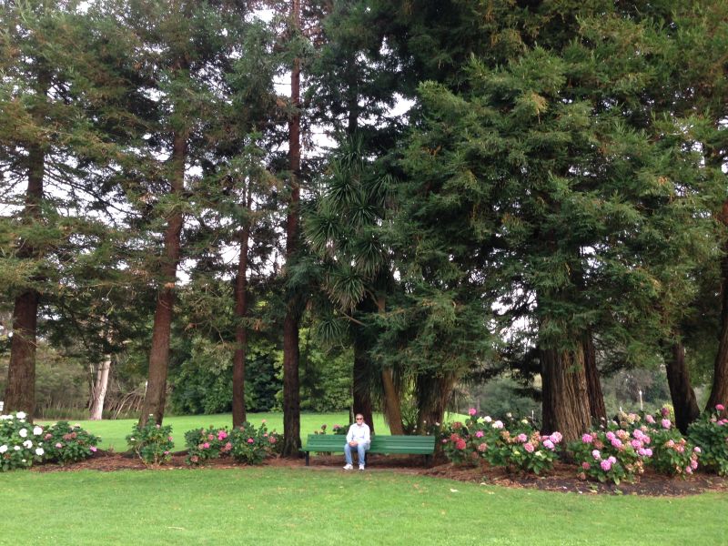 NO. 841 THE CONSERVATORY – Hydrangea Garden