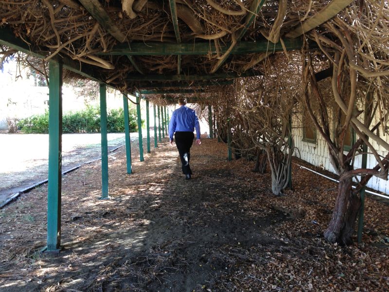 NO. 553 RANCHO CAMULOS - Wlkway