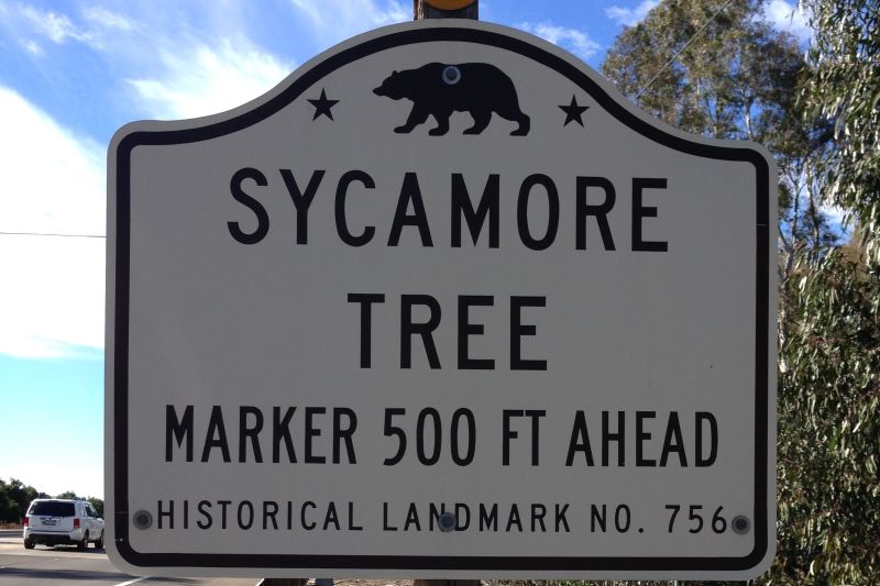 NO. 756 SYCAMORE TREE - Street Sign
