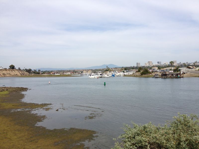 NO. 198 OLD LANDING