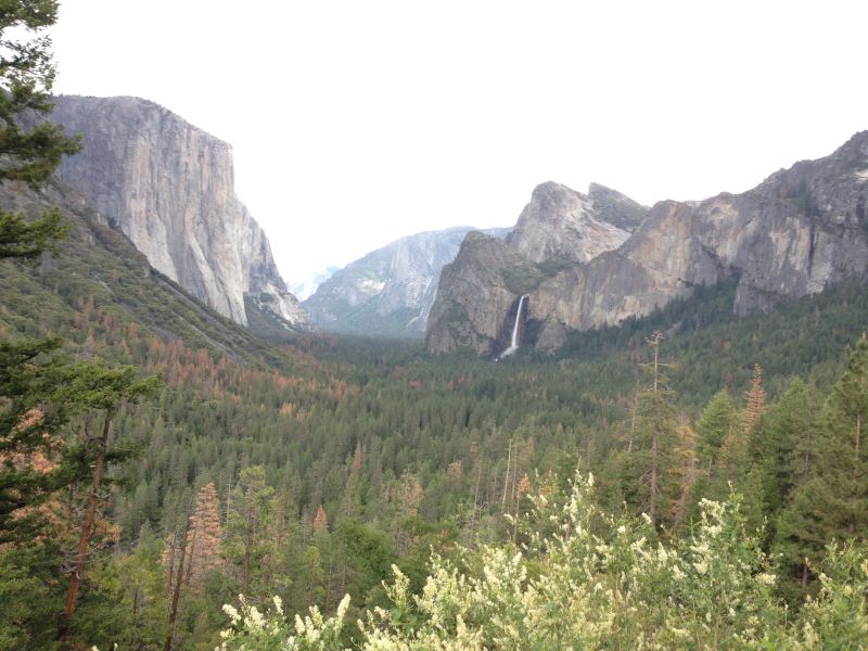 NO. 790 YOSEMITE VALLEY