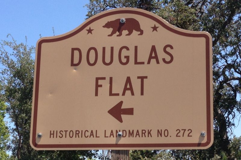 NO. 272 DOUGLAS FLAT - Street Sign