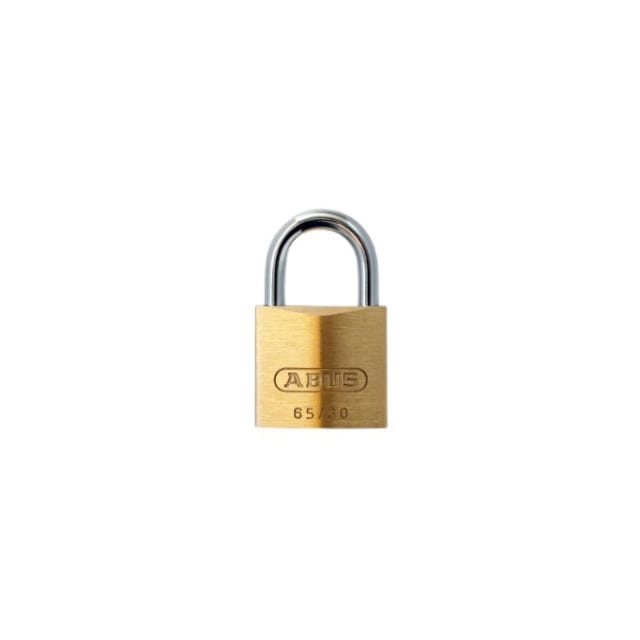Purple Bin Lock And Key