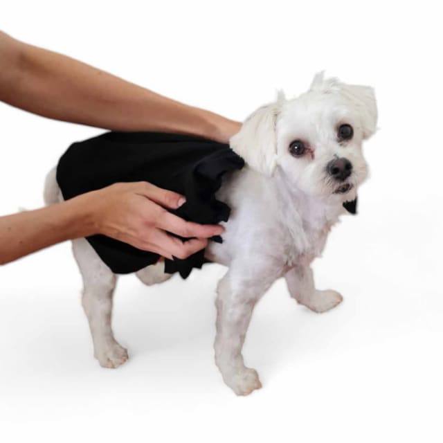 Biodegradable Pet Towels