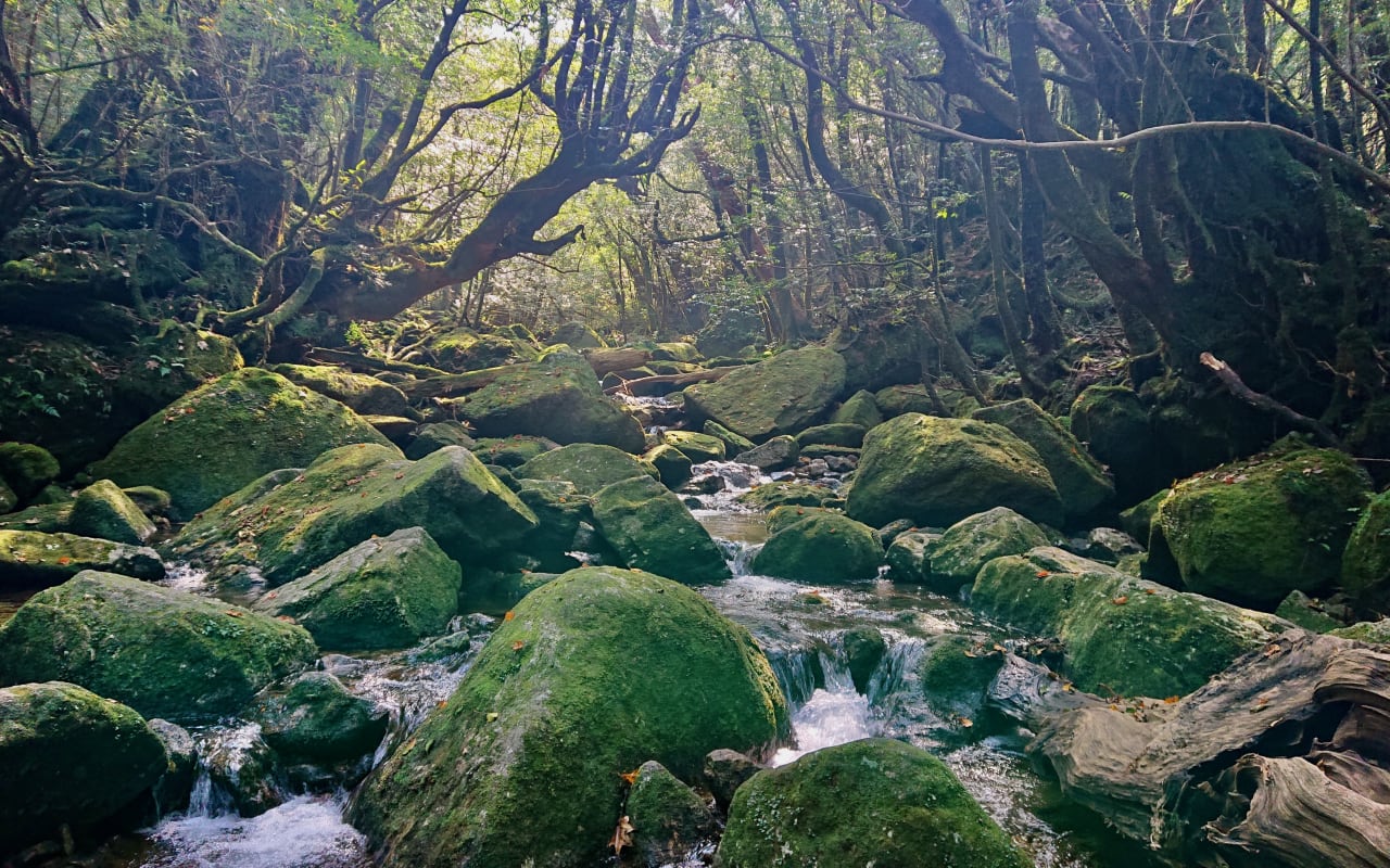 Nature Outdoors | Visit Kyushu