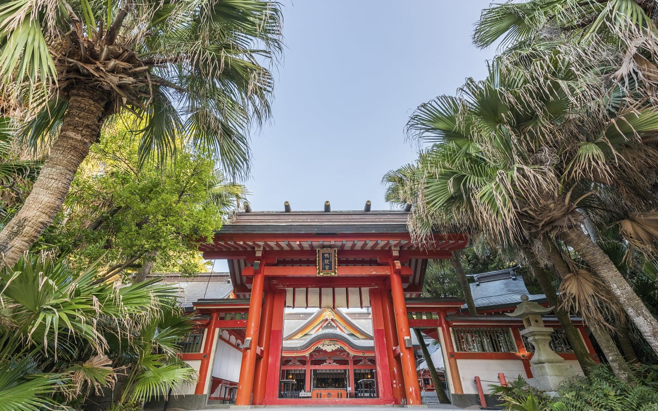 Aoshima Shrine  KYUSHU x TOKYO (JAPAN)