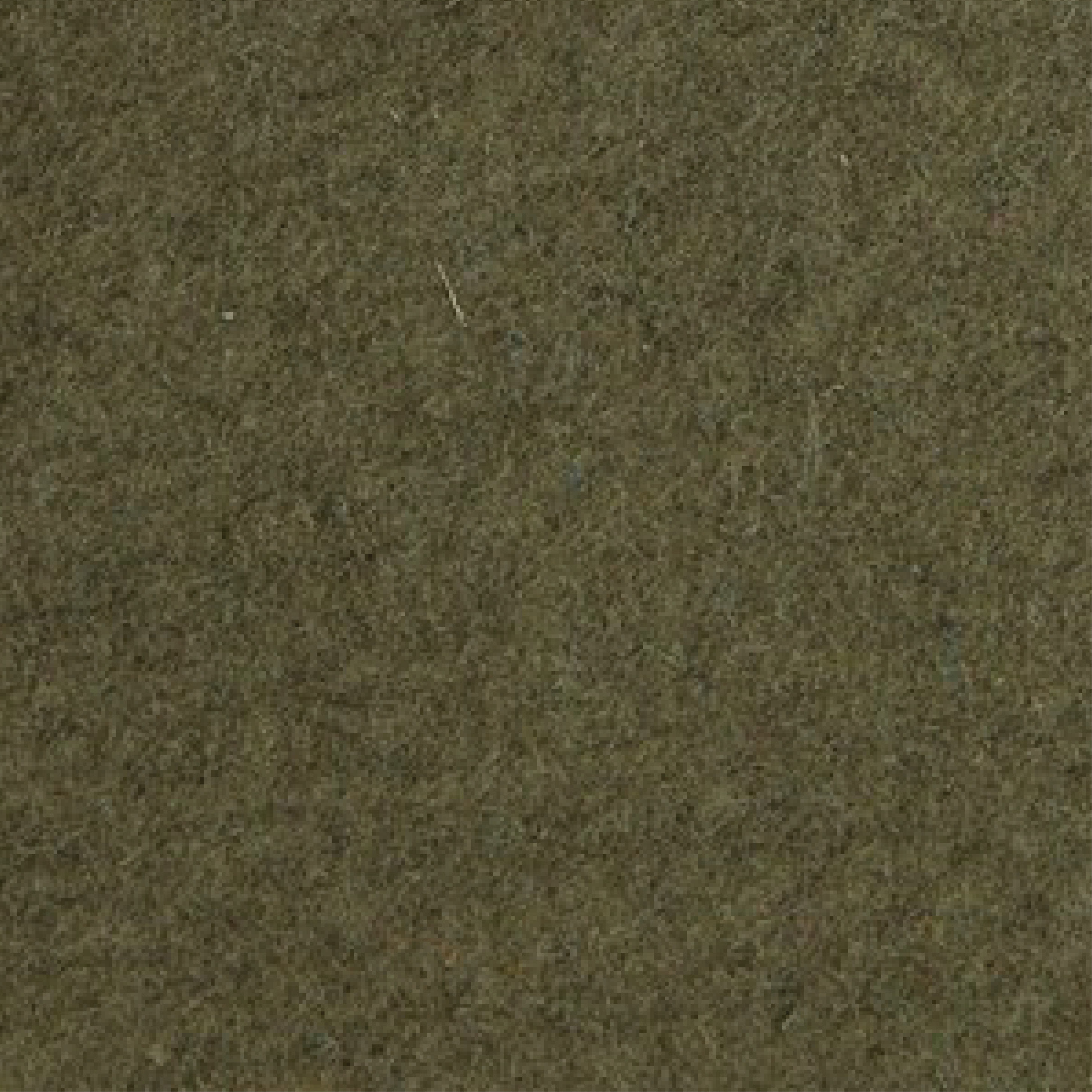 Moss Felt Moss Felt