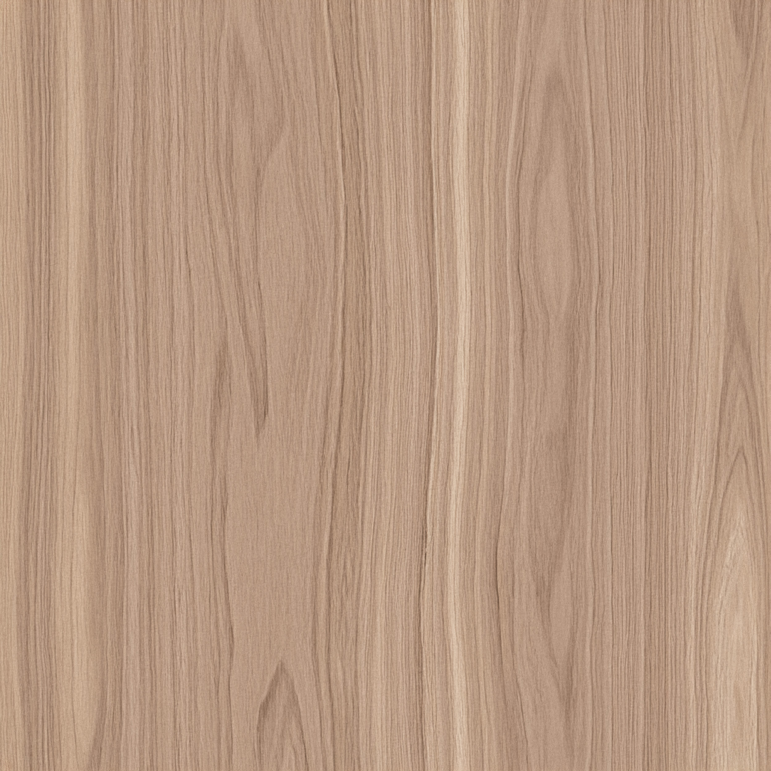 Maple - Clear Oak