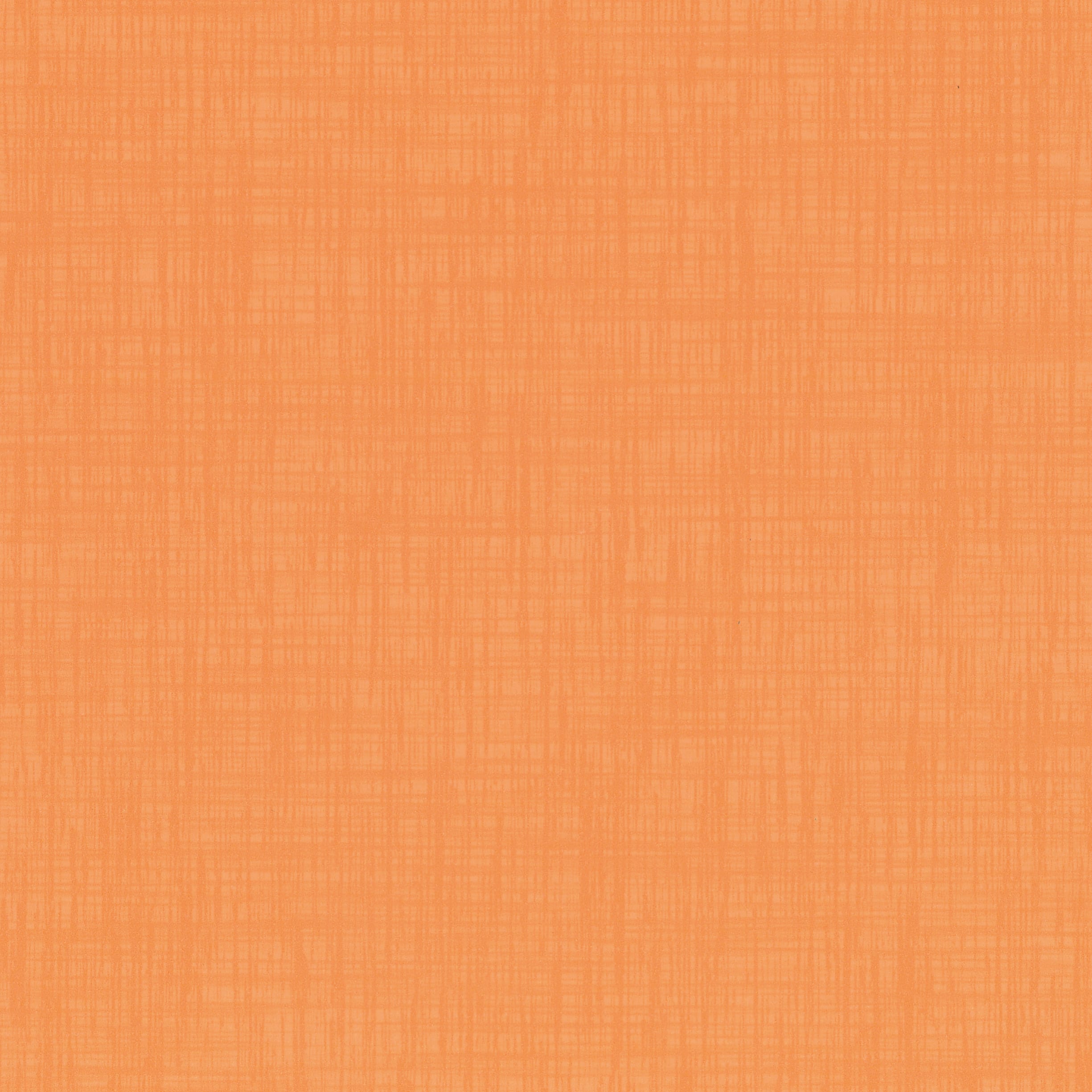 Neon Carrot