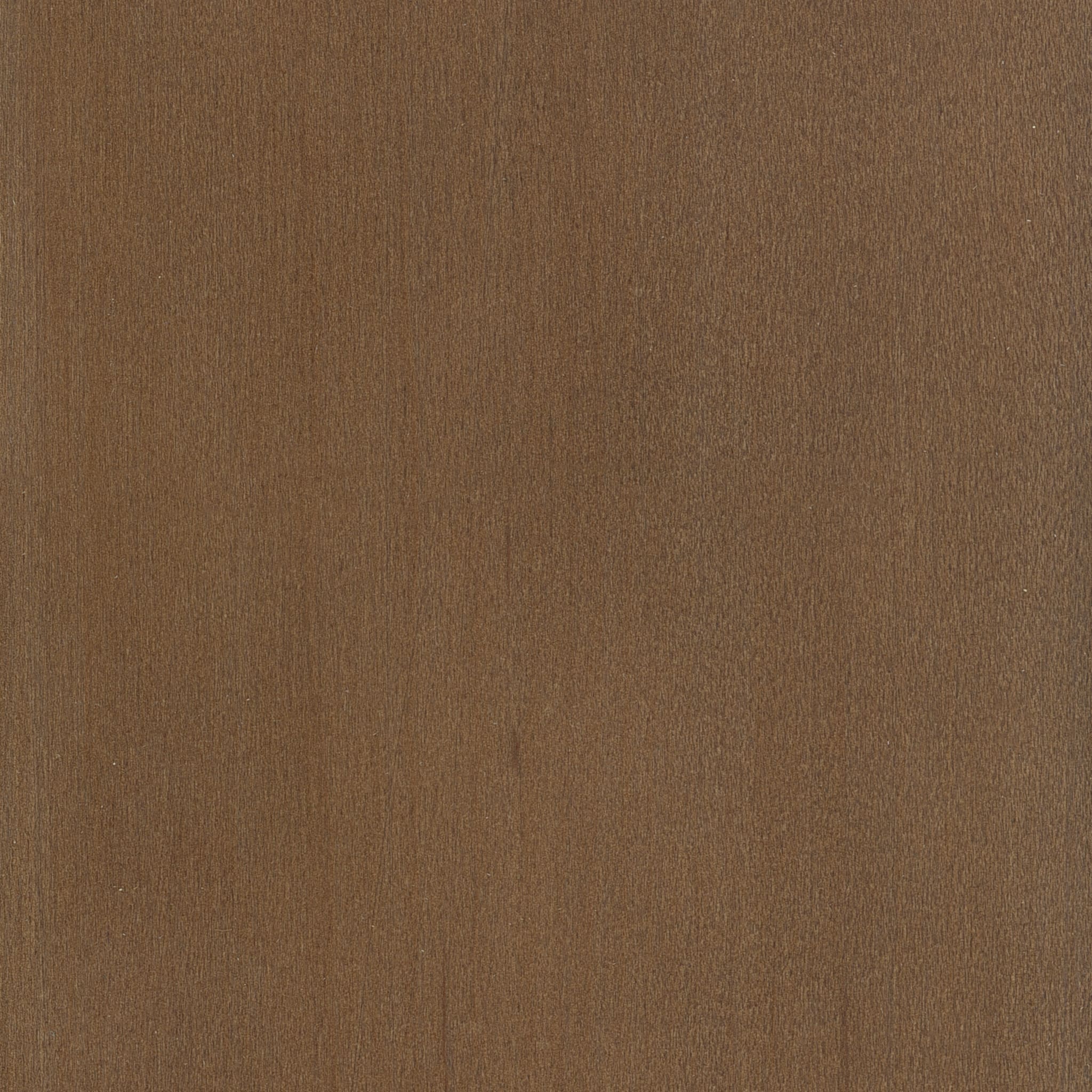 Maple - Pinnacle Walnut