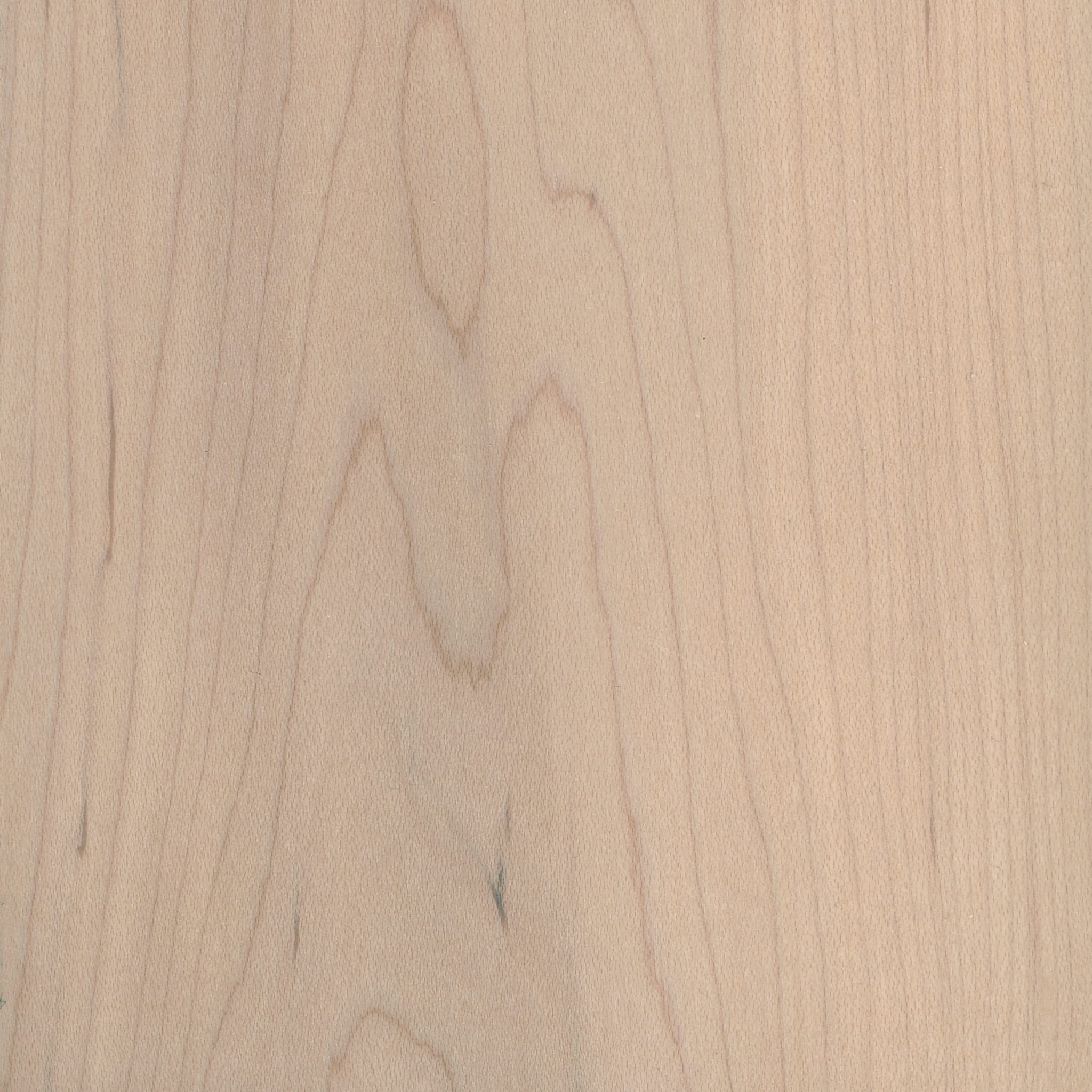 Maple - Beigewood