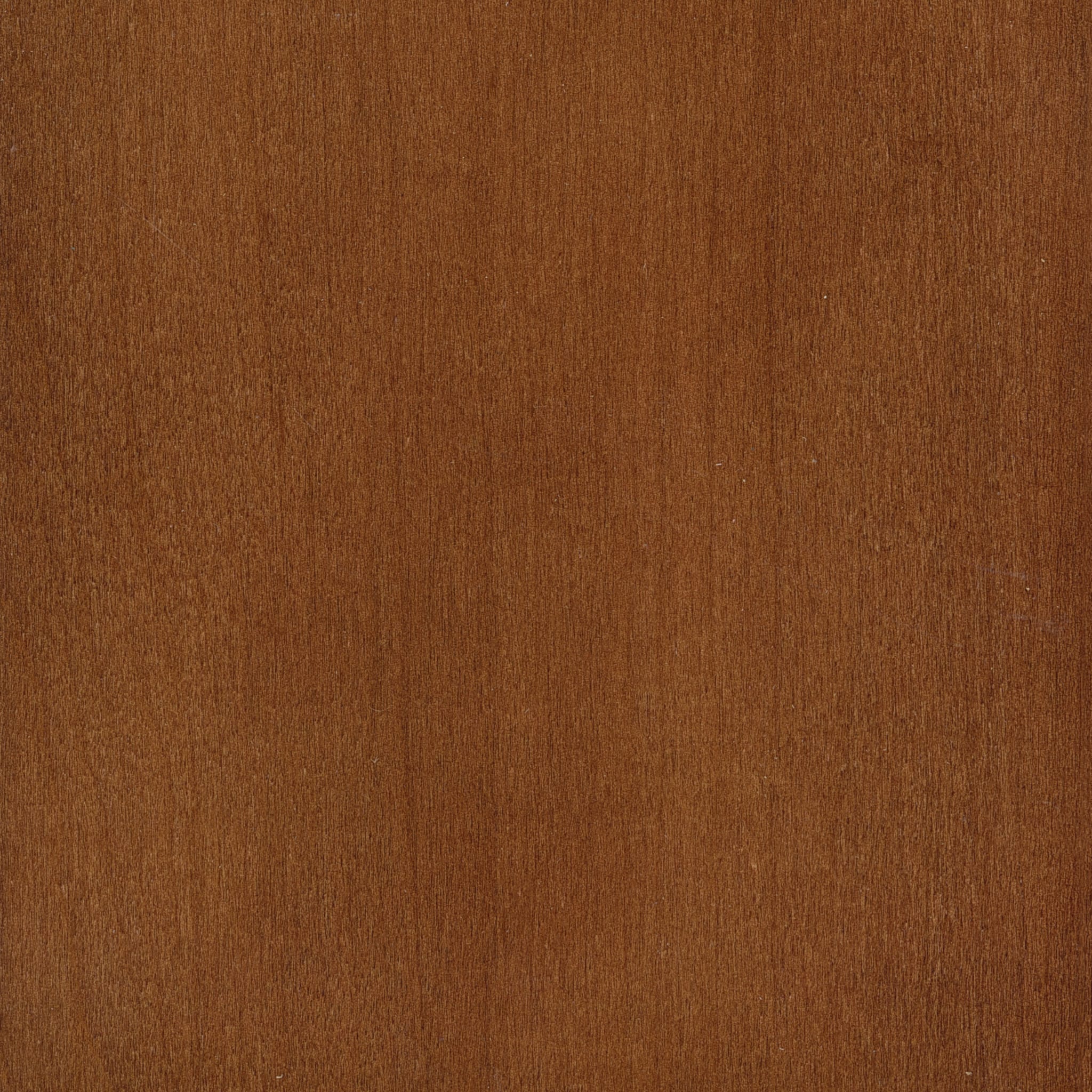Maple - Shaker Cherry