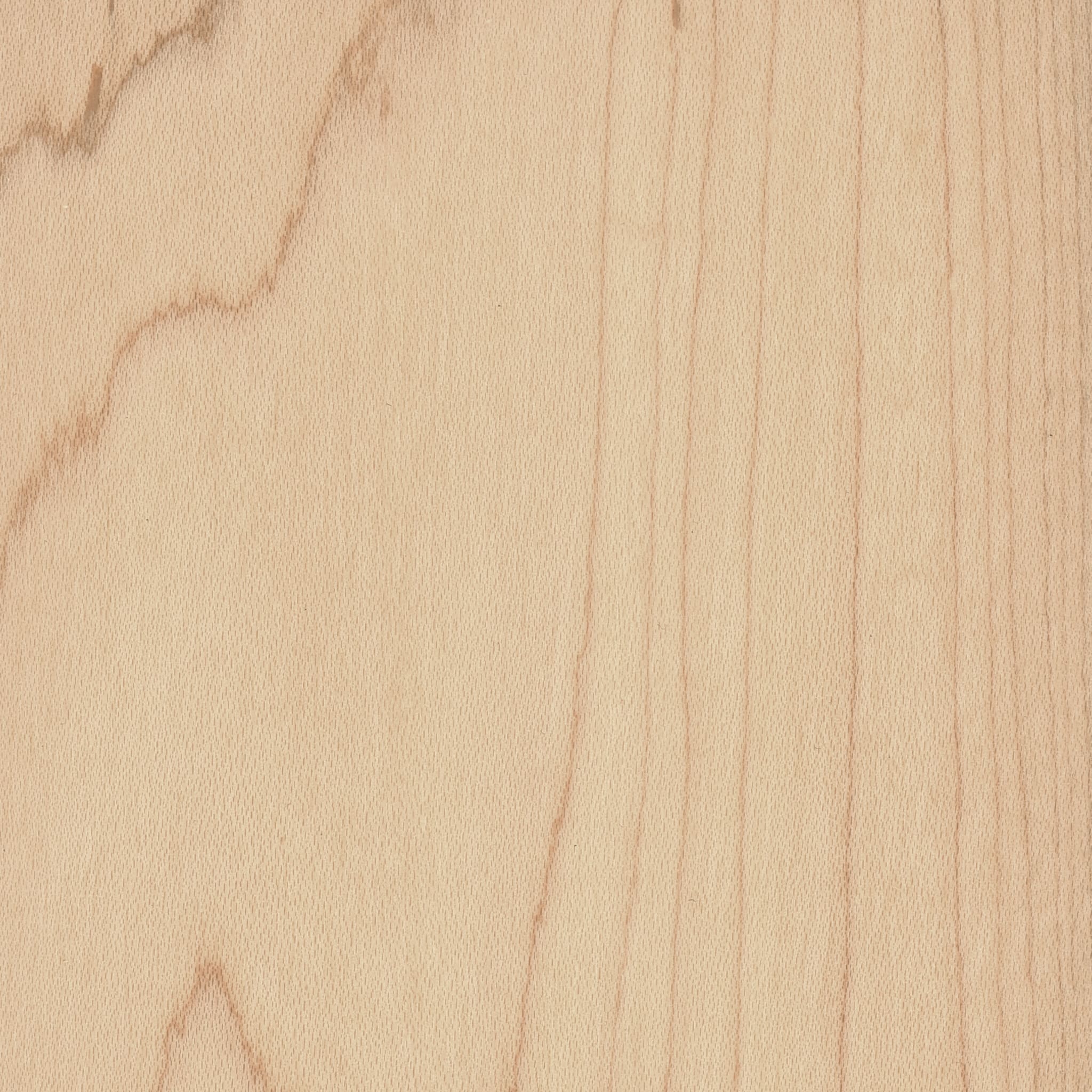 Maple - Natural Maple