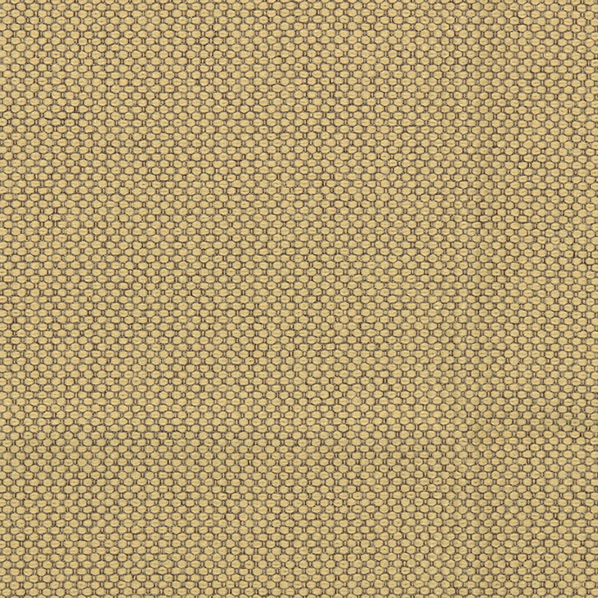 Sandstorm