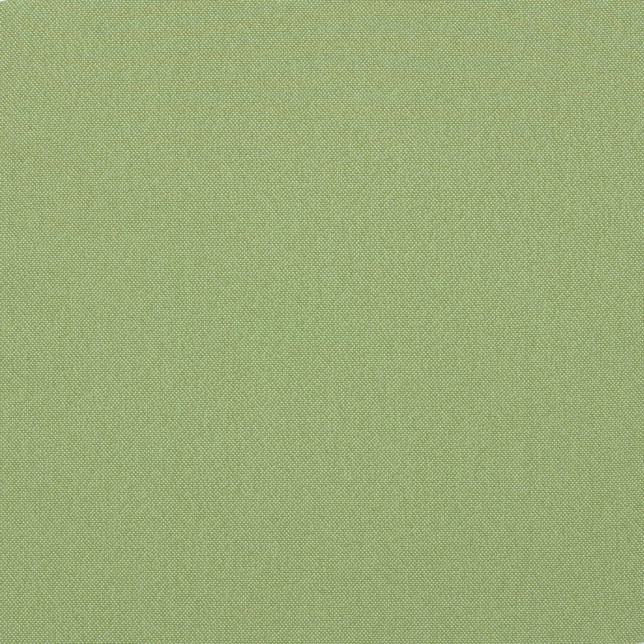 Honeydew