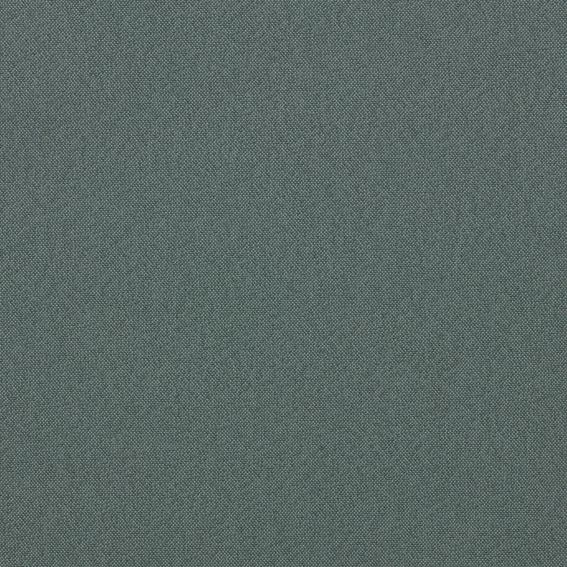 Seed