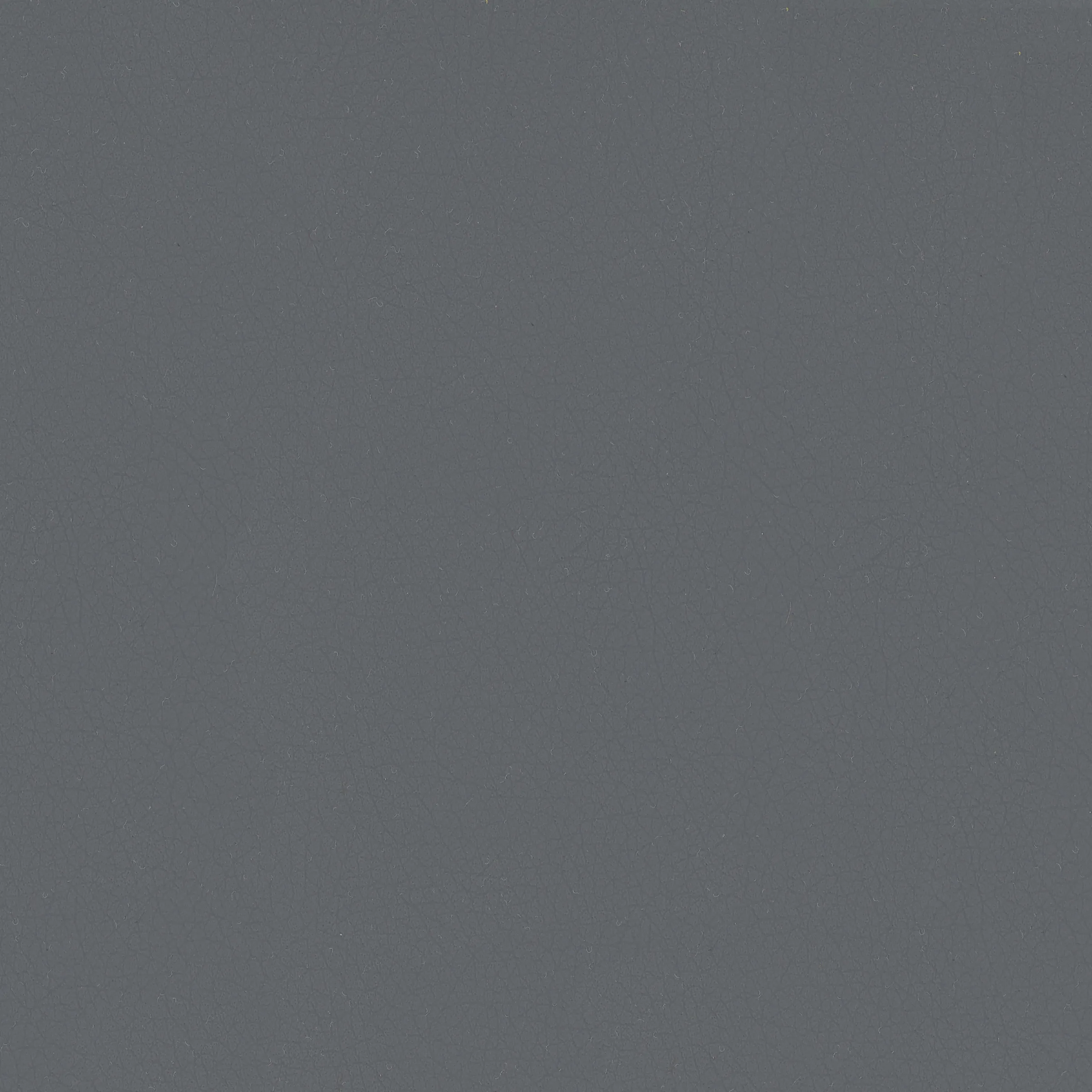 Shell Grey