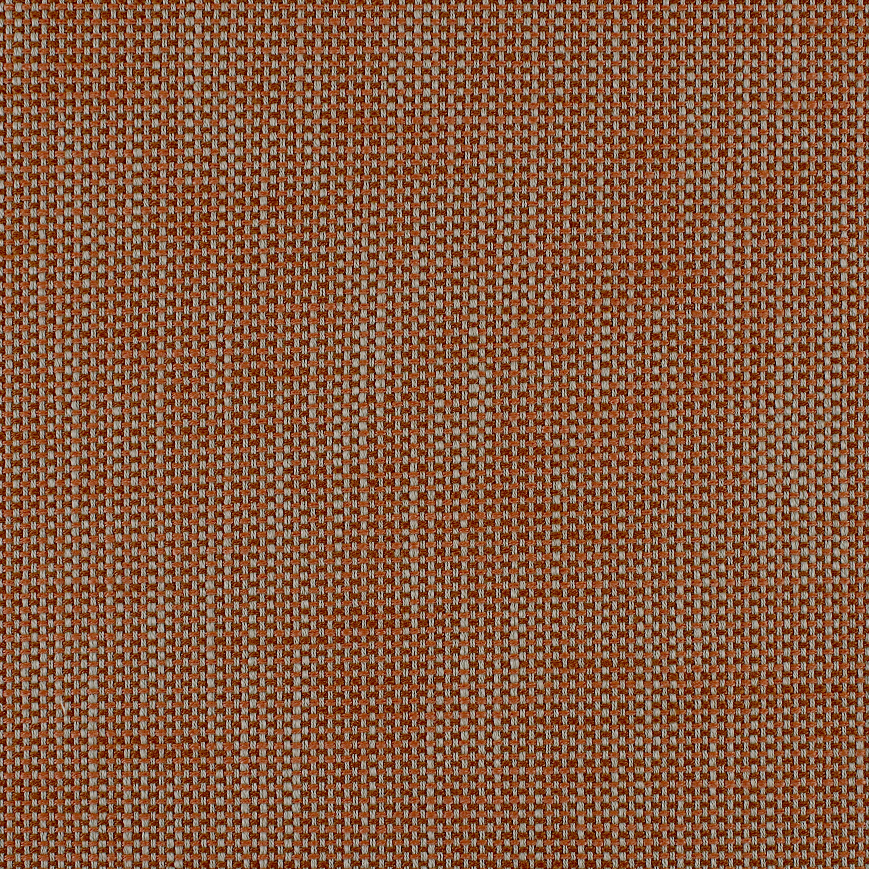 Coral Rust
