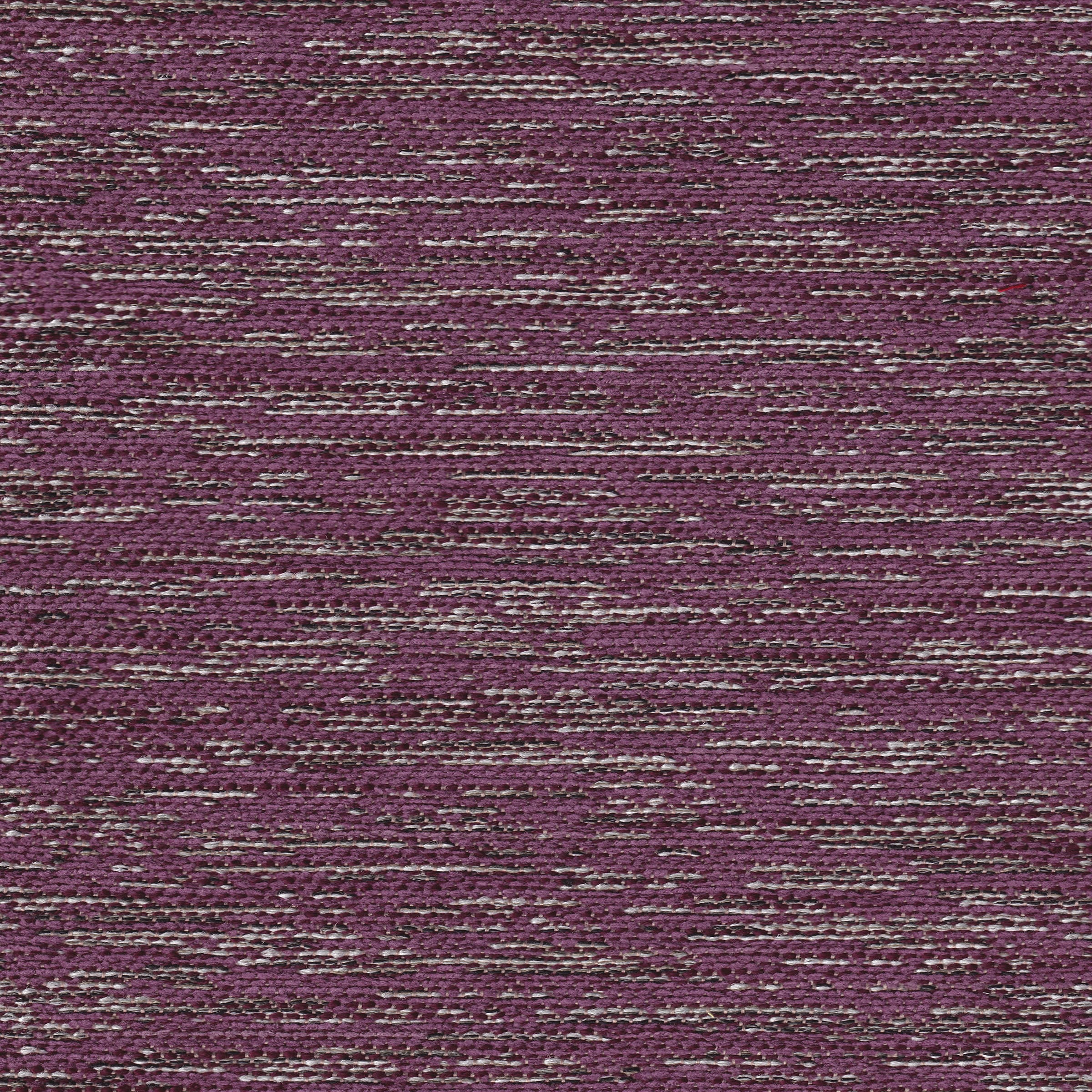 Violet Shades