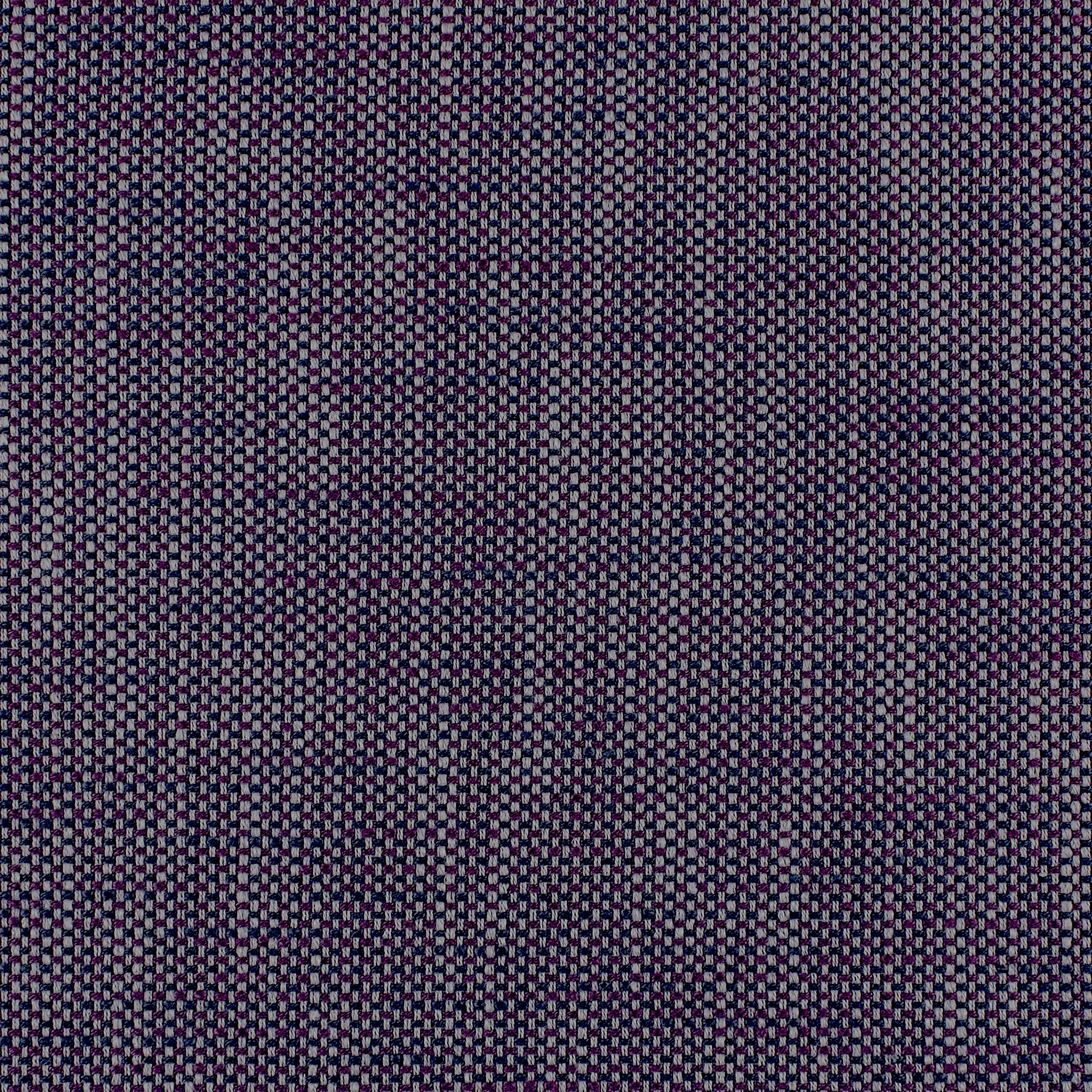 Purple Indigo