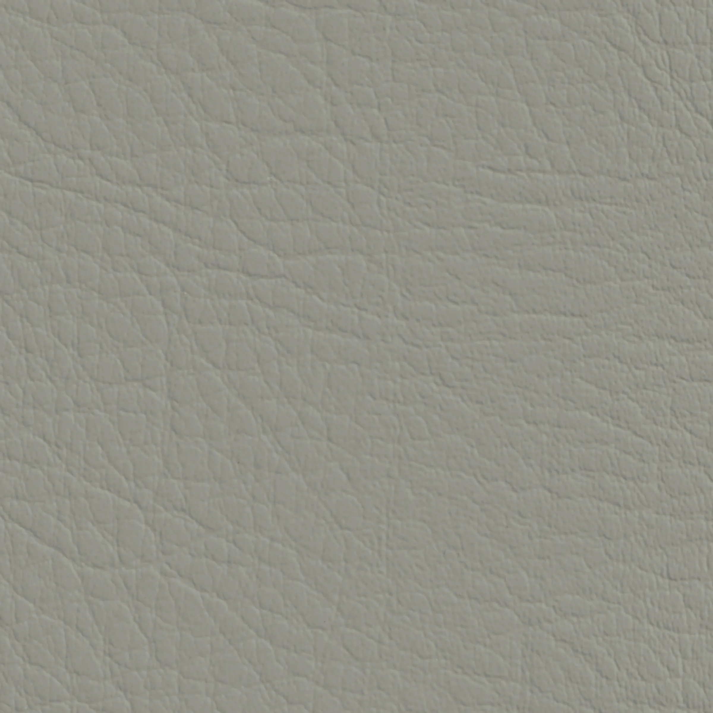 Silver Leaf
