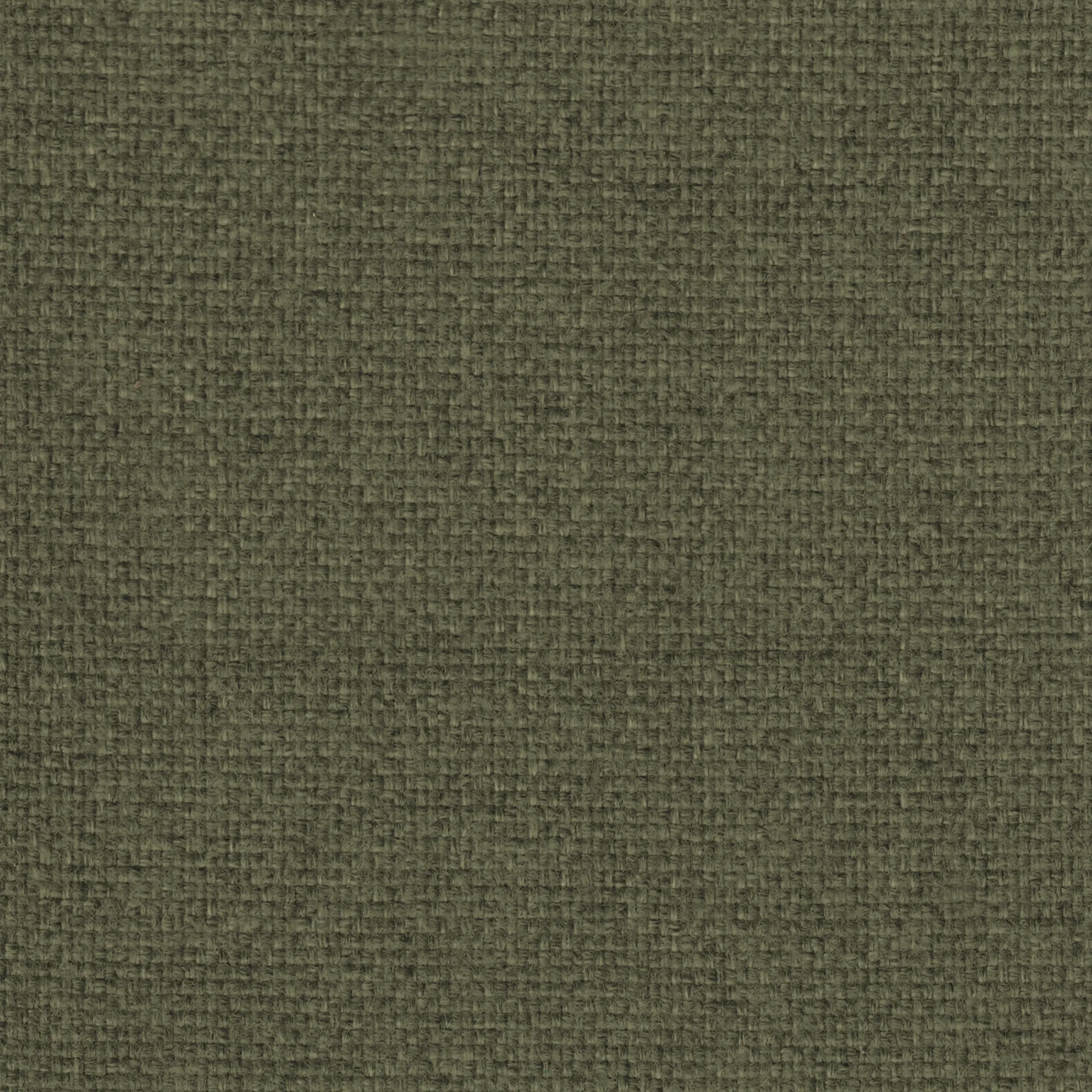 Dusted Sage