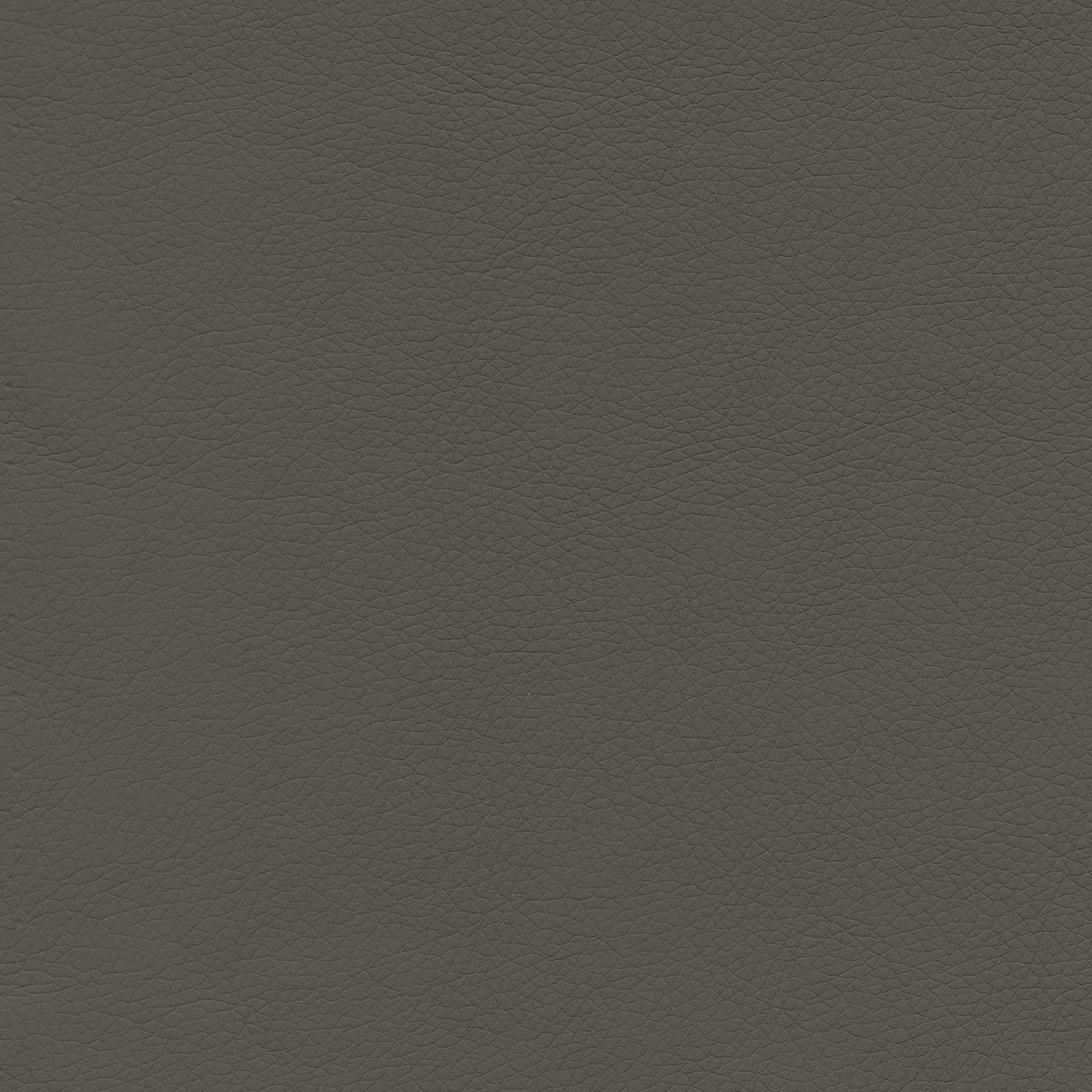 Iron