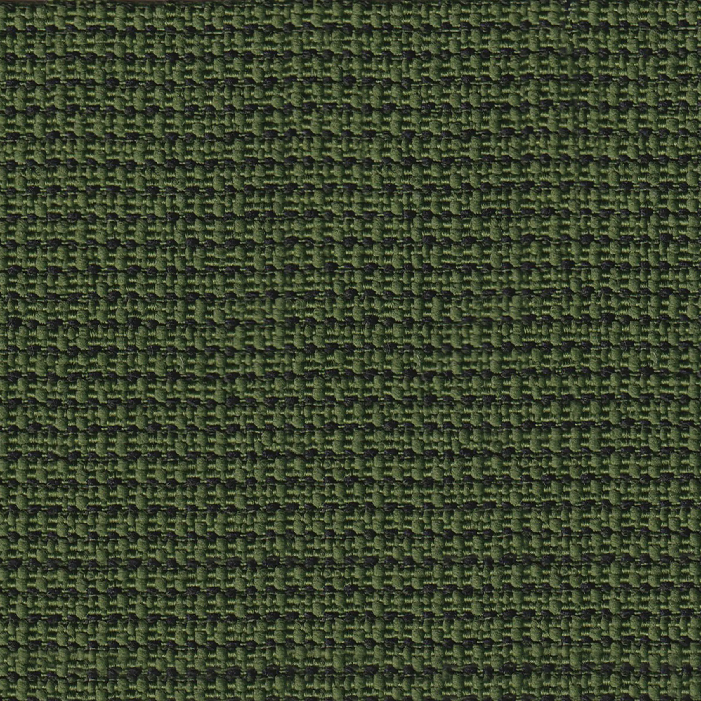 Seaweed