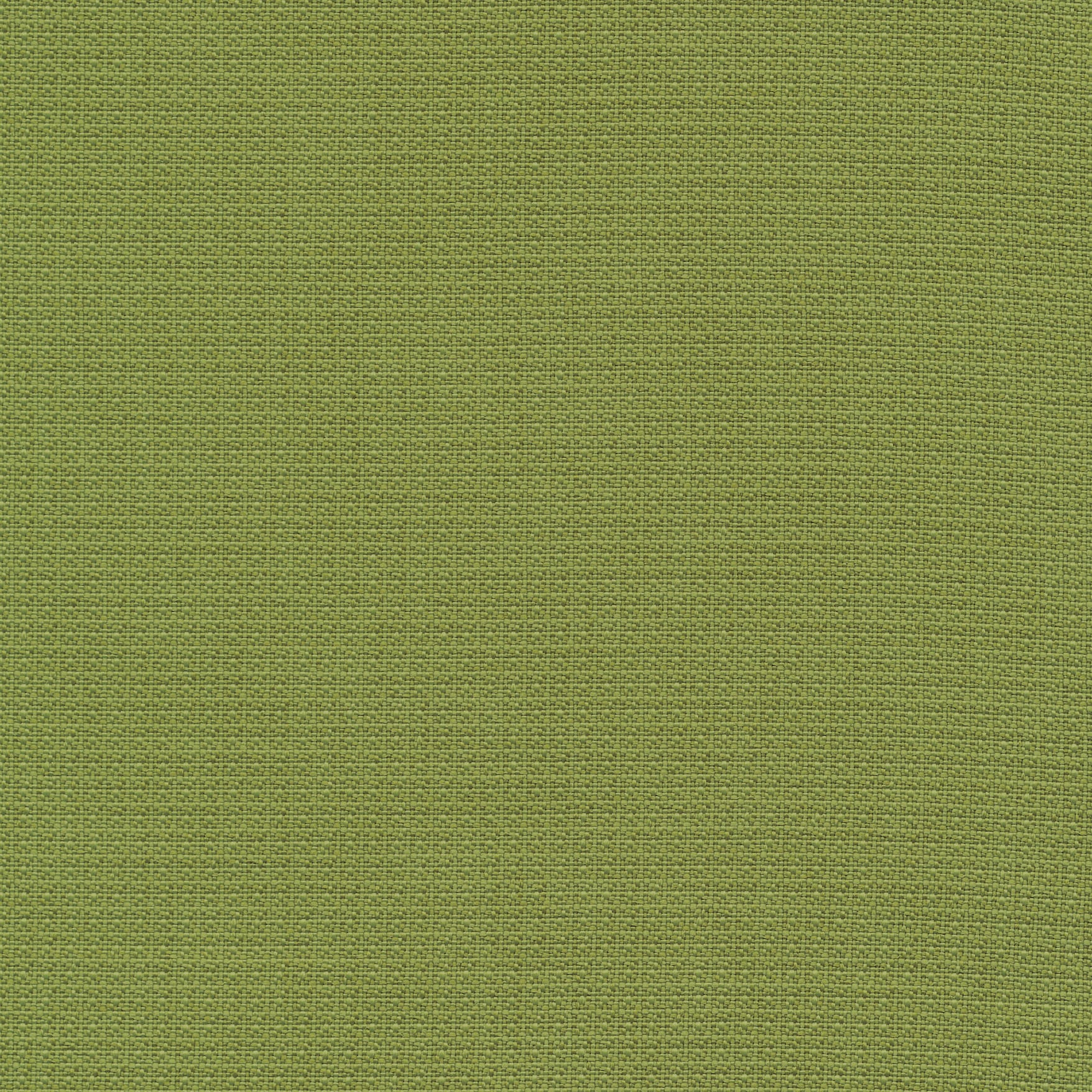 Lawn
