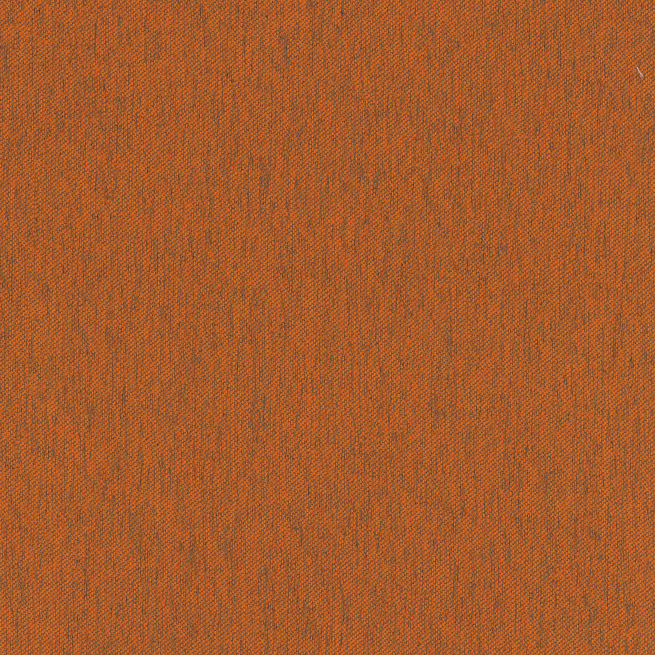 Ember